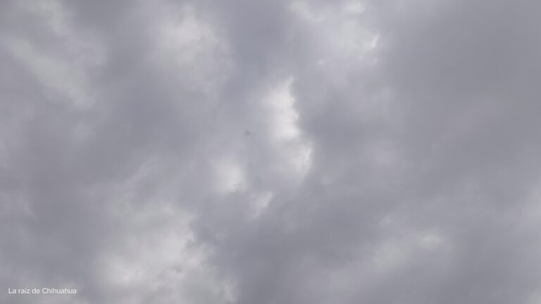 17291784509798597940537553690131