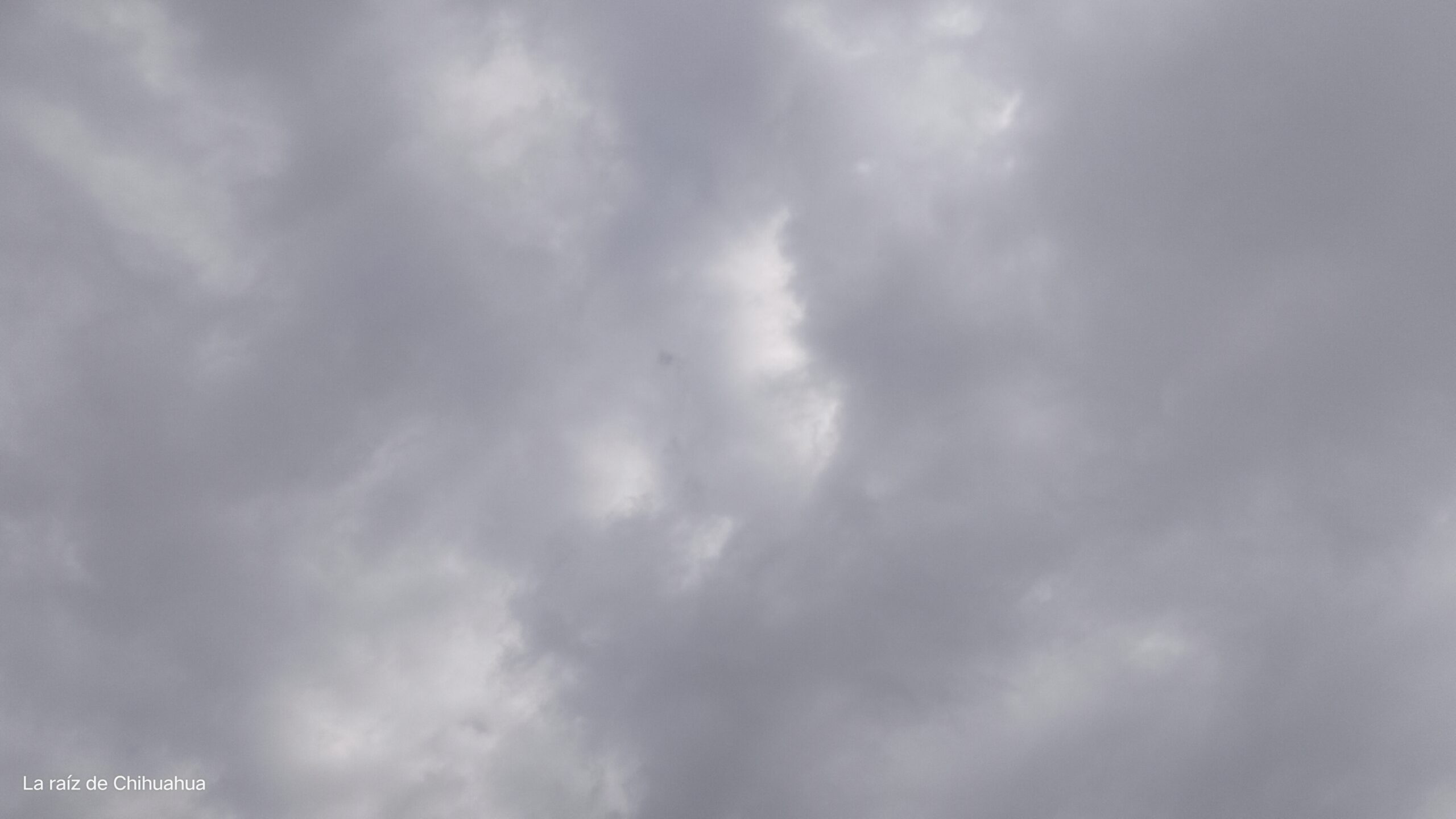 17291784509798597940537553690131