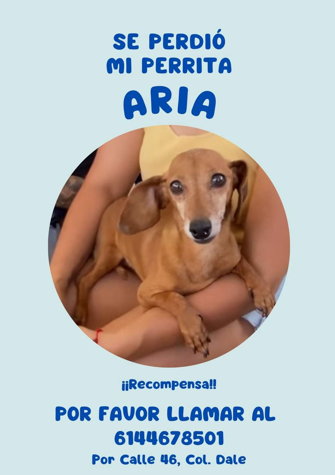 FB_IMG_1728239251486