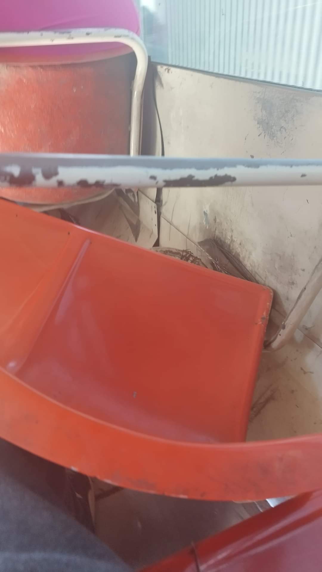 FB_IMG_1729865905769