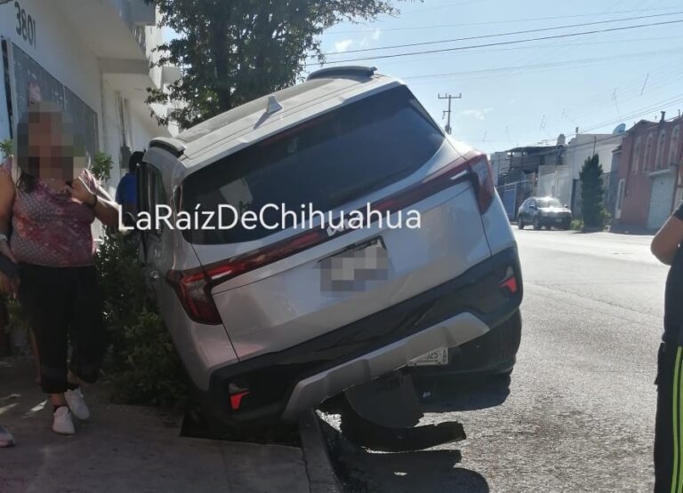 IMG-20241008-WA0038~2