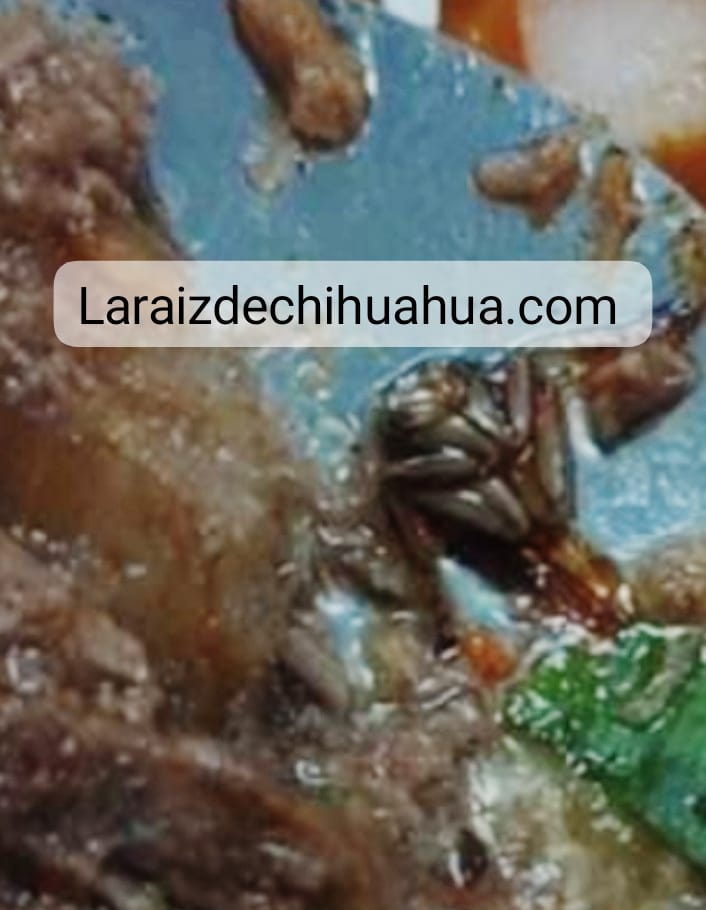 WhatsApp Image 2024-10-14 at 3.52.50 PM