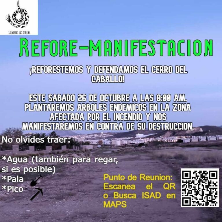 WhatsApp Image 2024-10-22 at 3.10.02 PM