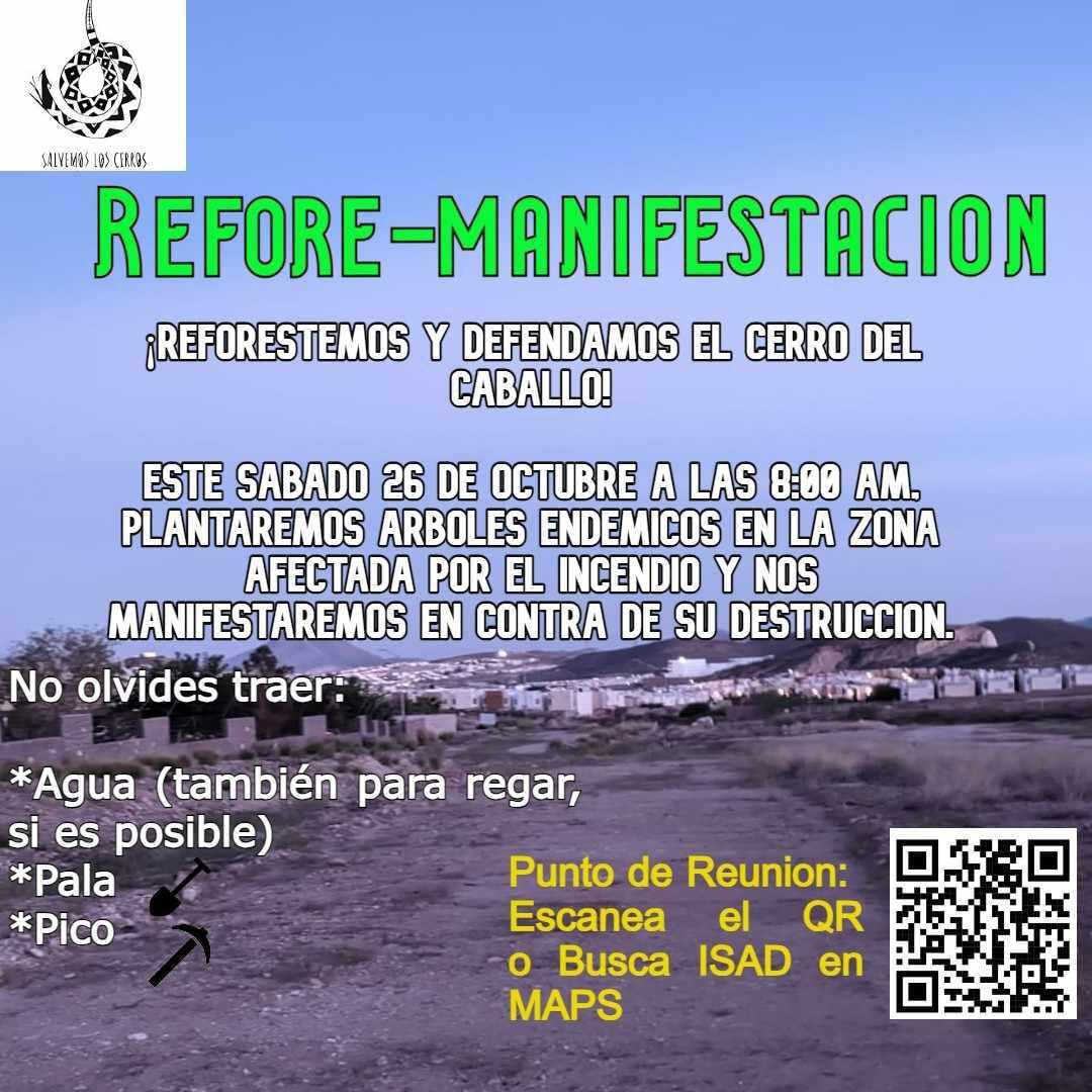 WhatsApp Image 2024-10-22 at 3.10.02 PM