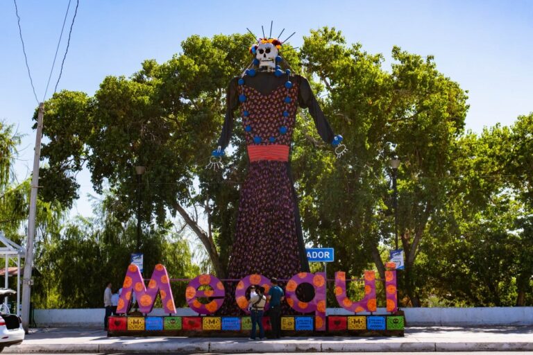 WhatsApp Image 2024-10-31 at 2.02.22 PM