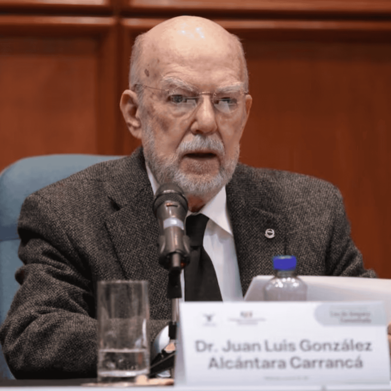 juan_luis_gonzaxlez_alcaxntara_carrancax-scjn_version1730166325805.png_495933542