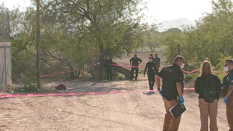 whatsapp-image-20241014-at-93650-am-013928647