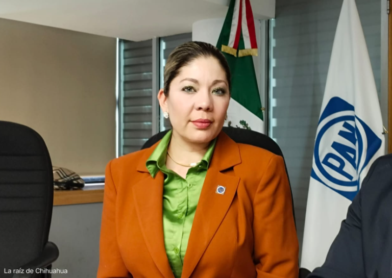 Captura de pantalla 2024-11-12 113246