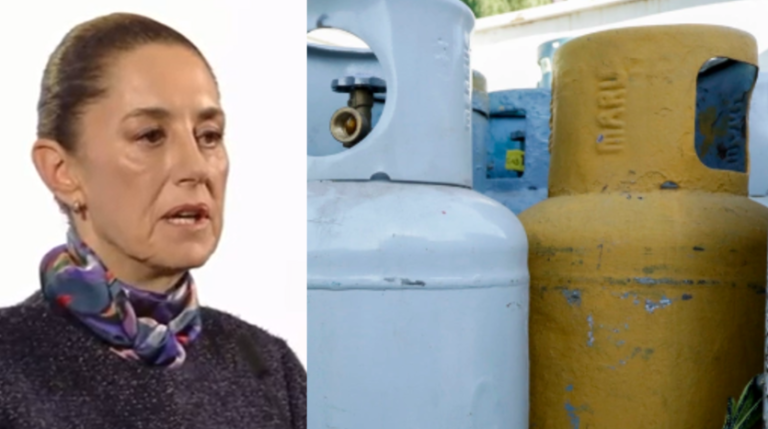 Captura de pantalla 2024-11-28 101219