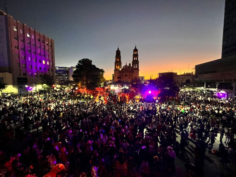 WhatsApp Image 2024-11-03 at 9.40.17 AM