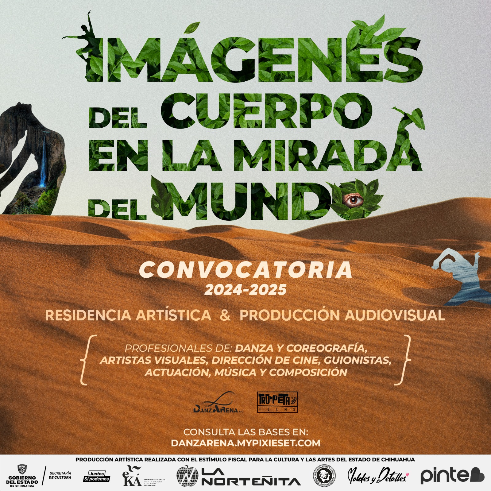 WhatsApp Image 2024-11-04 at 3.03.51 PM