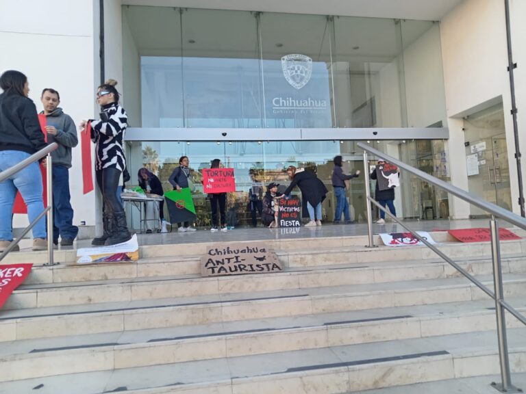 WhatsApp Image 2024-11-13 at 8.33.51 AM