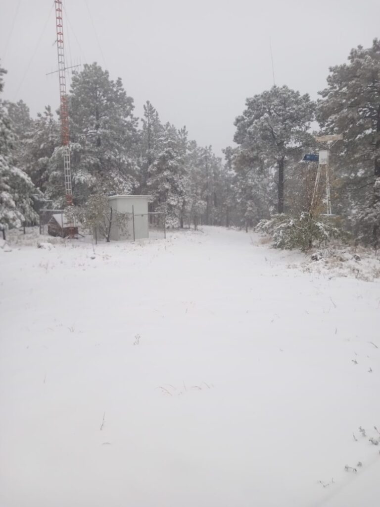 WhatsApp Image 2024-11-18 at 11.22.09 AM