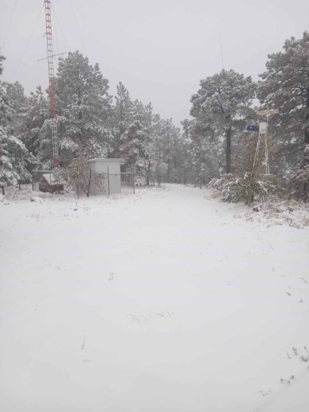 WhatsApp Image 2024-11-18 at 11.22.09 AM