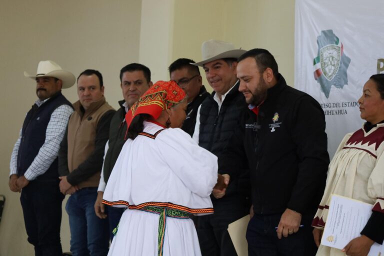 WhatsApp Image 2024-11-18 at 9.34.03 AM