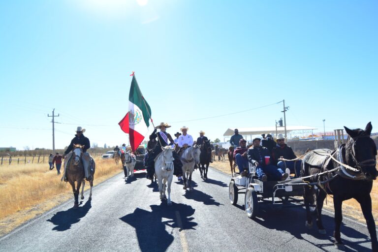 WhatsApp Image 2024-11-19 at 1.58.03 PM