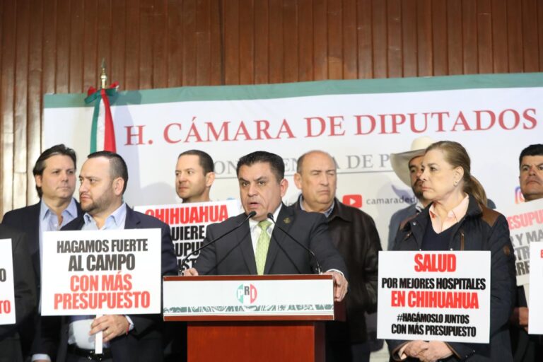 WhatsApp Image 2024-11-27 at 7.49.56 AM