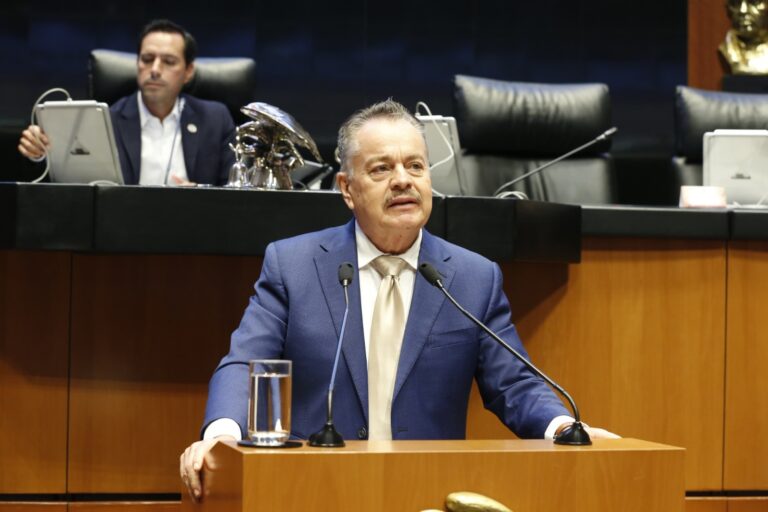 WhatsApp Image 2024-11-27 at 8.57.08 AM