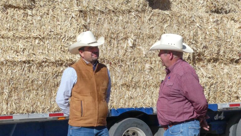 WhatsApp Image 2024-11-30 at 10.13.55 AM