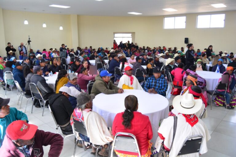 WhatsApp Image 2024-11-16 at 2.46.54 PM