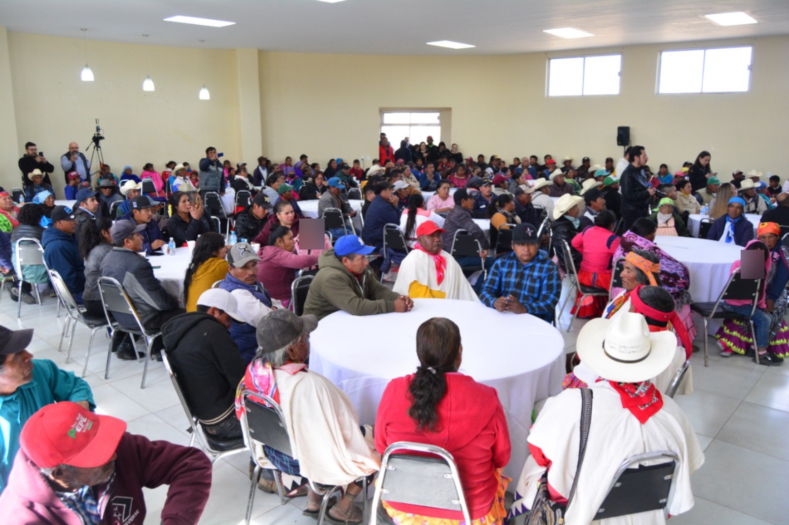 WhatsApp Image 2024-11-16 at 2.46.54 PM