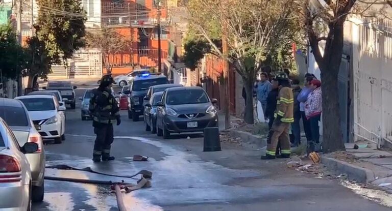 WhatsApp Image 2024-12-11 at 10.18.26 AM