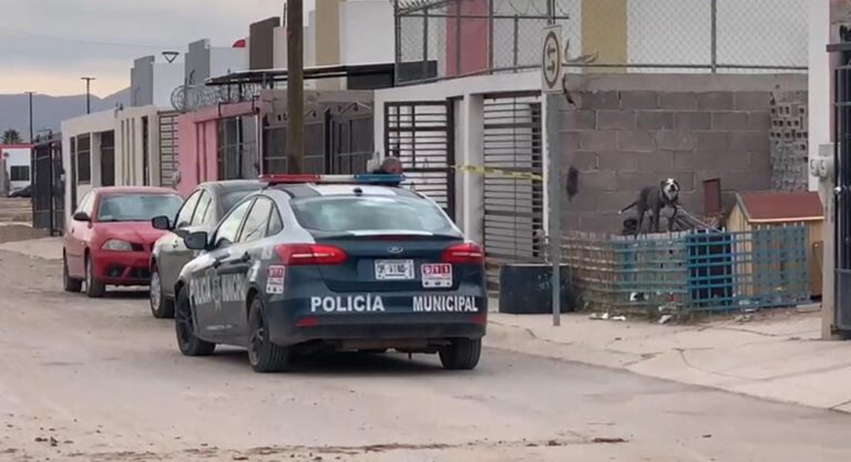 WhatsApp Image 2024-12-12 at 1.35.03 PM