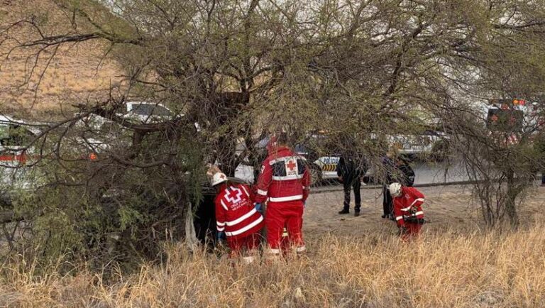 WhatsApp Image 2024-12-12 at 12.02.23 PM