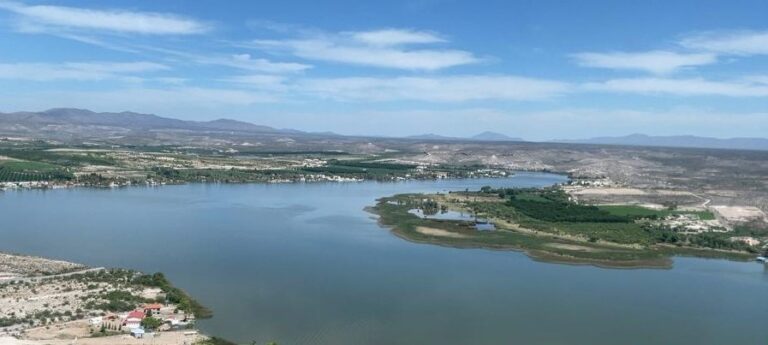 WhatsApp Image 2024-12-16 at 11.03.55 AM (1)