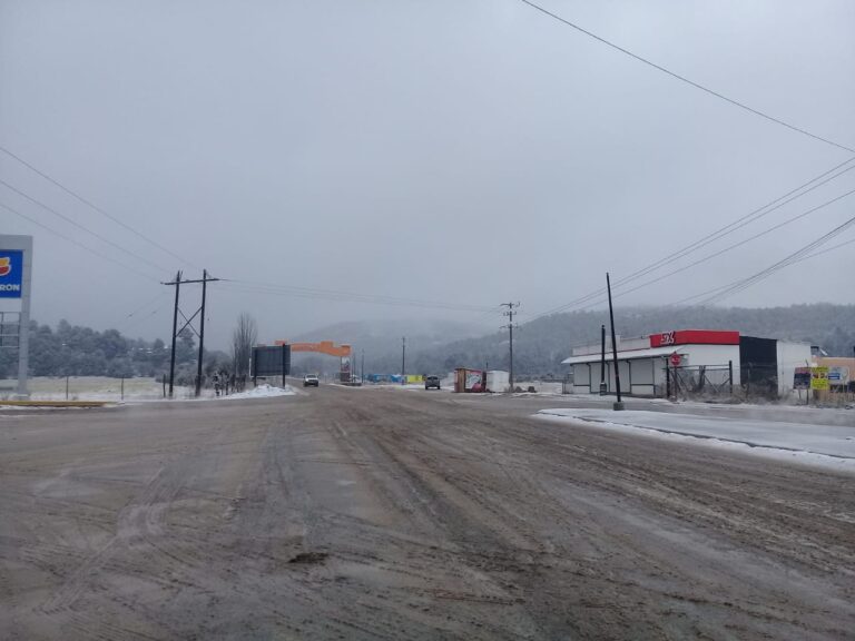 WhatsApp Image 2024-12-20 at 12.49.01 PM