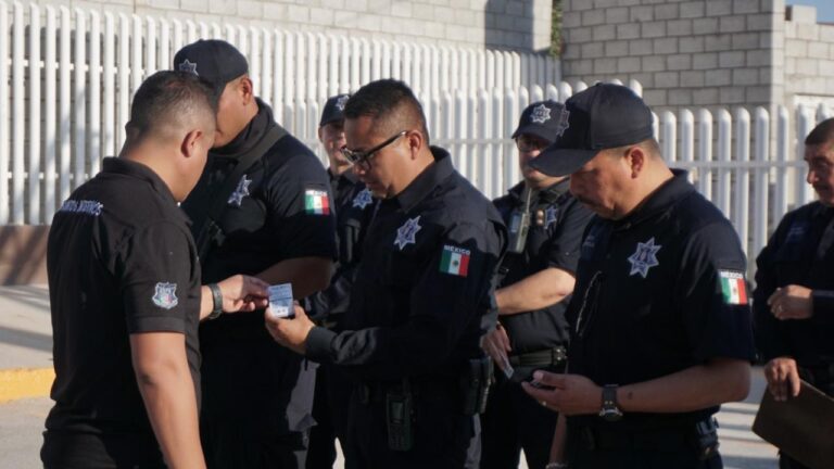 WhatsApp Image 2024-12-23 at 11.51.07 AM