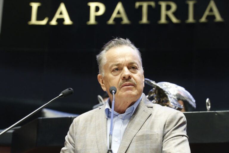 WhatsApp Image 2024-12-27 at 10.01.04 AM