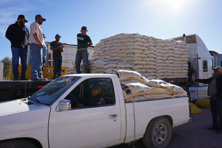 WhatsApp Image 2024-12-27 at 11.23.46 AM