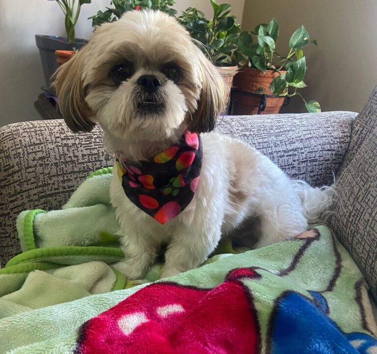 WhatsApp Image 2024-12-27 at 12.29.31 PM