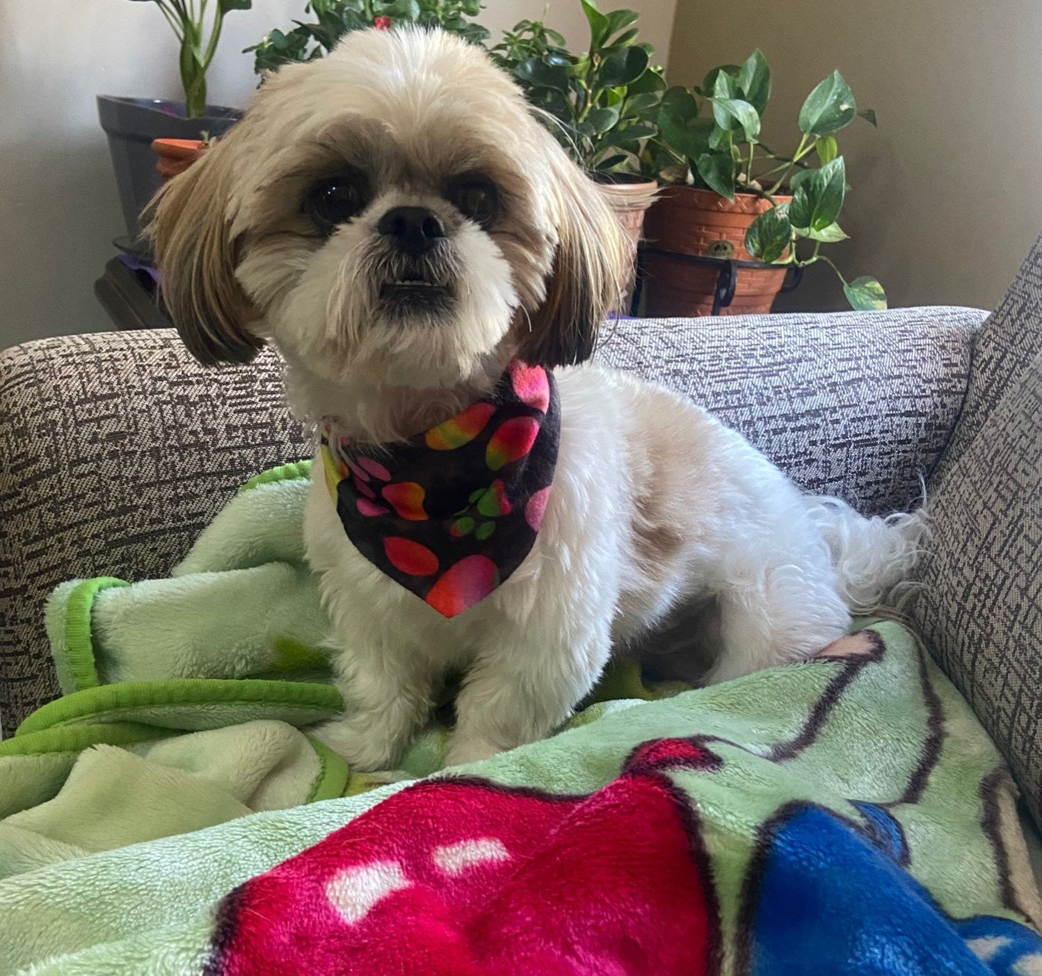 WhatsApp Image 2024-12-27 at 12.29.31 PM