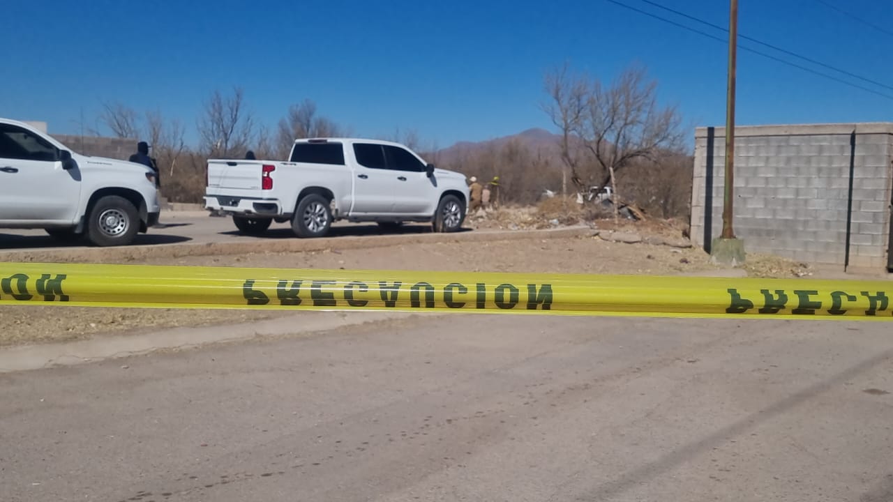 WhatsApp Image 2024-12-28 at 1.36.33 PM