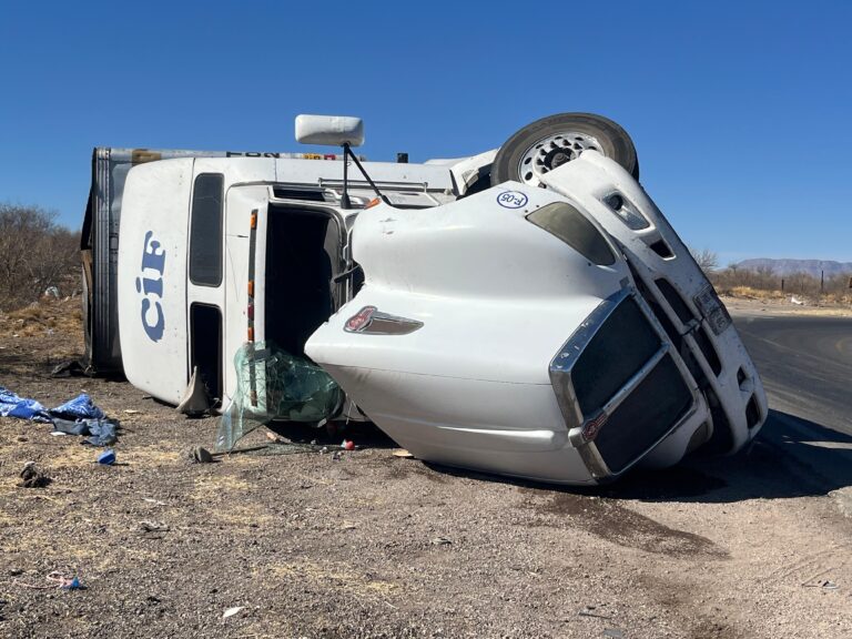 WhatsApp Image 2024-12-28 at 1.49.08 PM