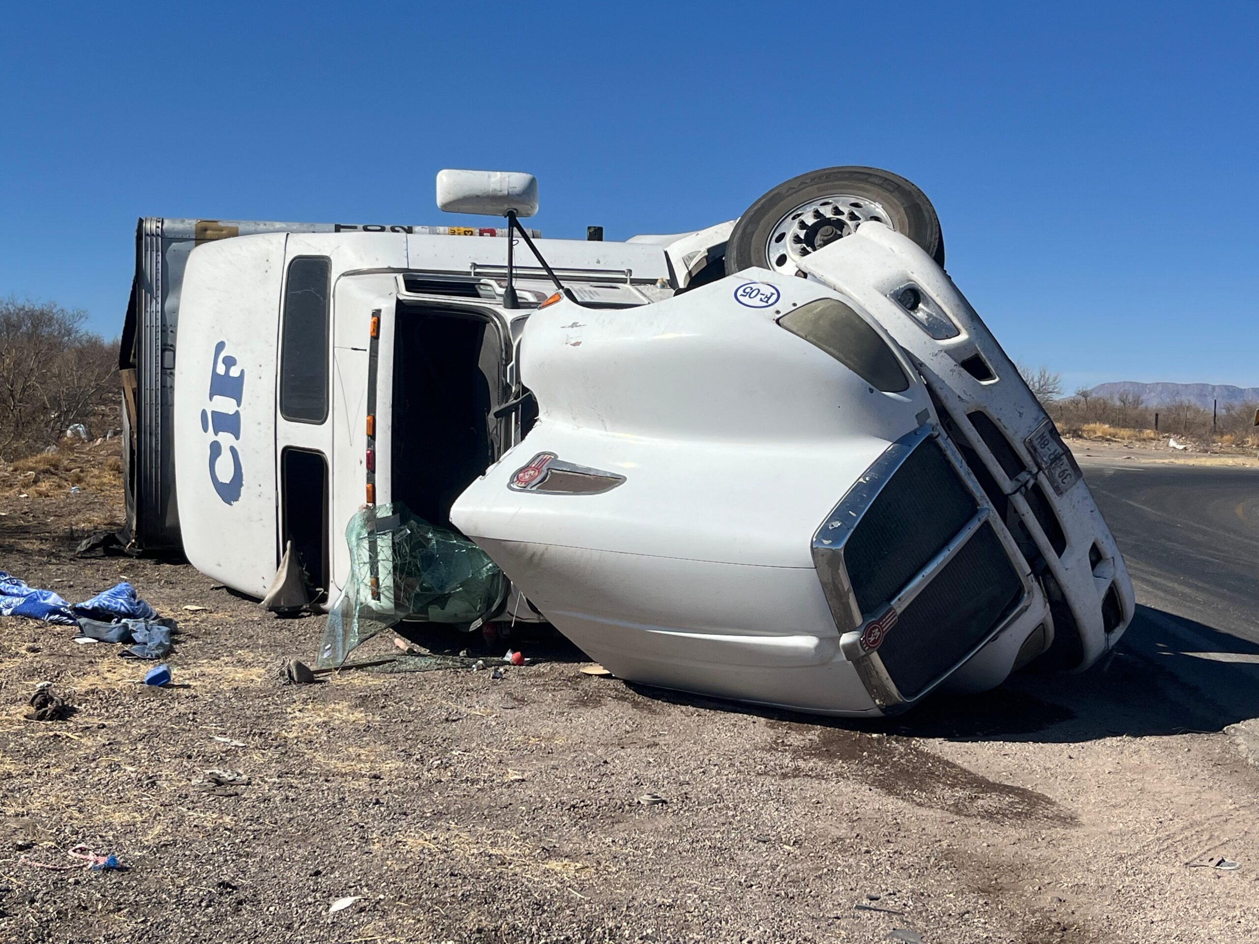 WhatsApp Image 2024-12-28 at 1.49.08 PM