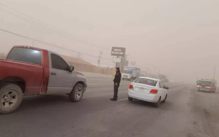 WhatsApp Image 2024-12-30 at 1.43.05 PM