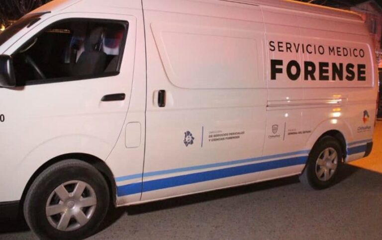 WhatsApp Image 2024-12-30 at 12.48.00 PM