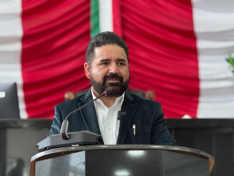 WhatsApp Image 2024-12-03 at 11.25.47 AM