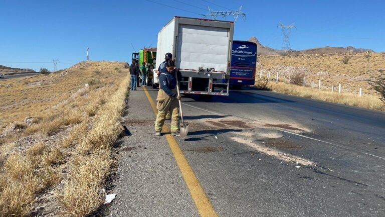 WhatsApp Image 2025-01-07 at 12.06.20 PM