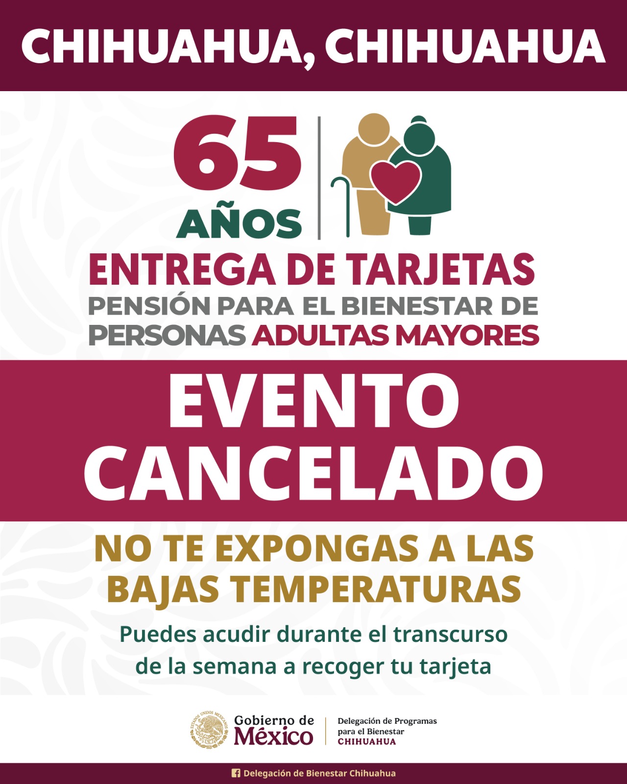 WhatsApp Image 2025-01-09 at 8.04.29 AM