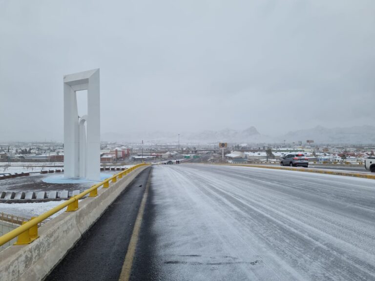 WhatsApp Image 2025-01-10 at 8.20.57 AM