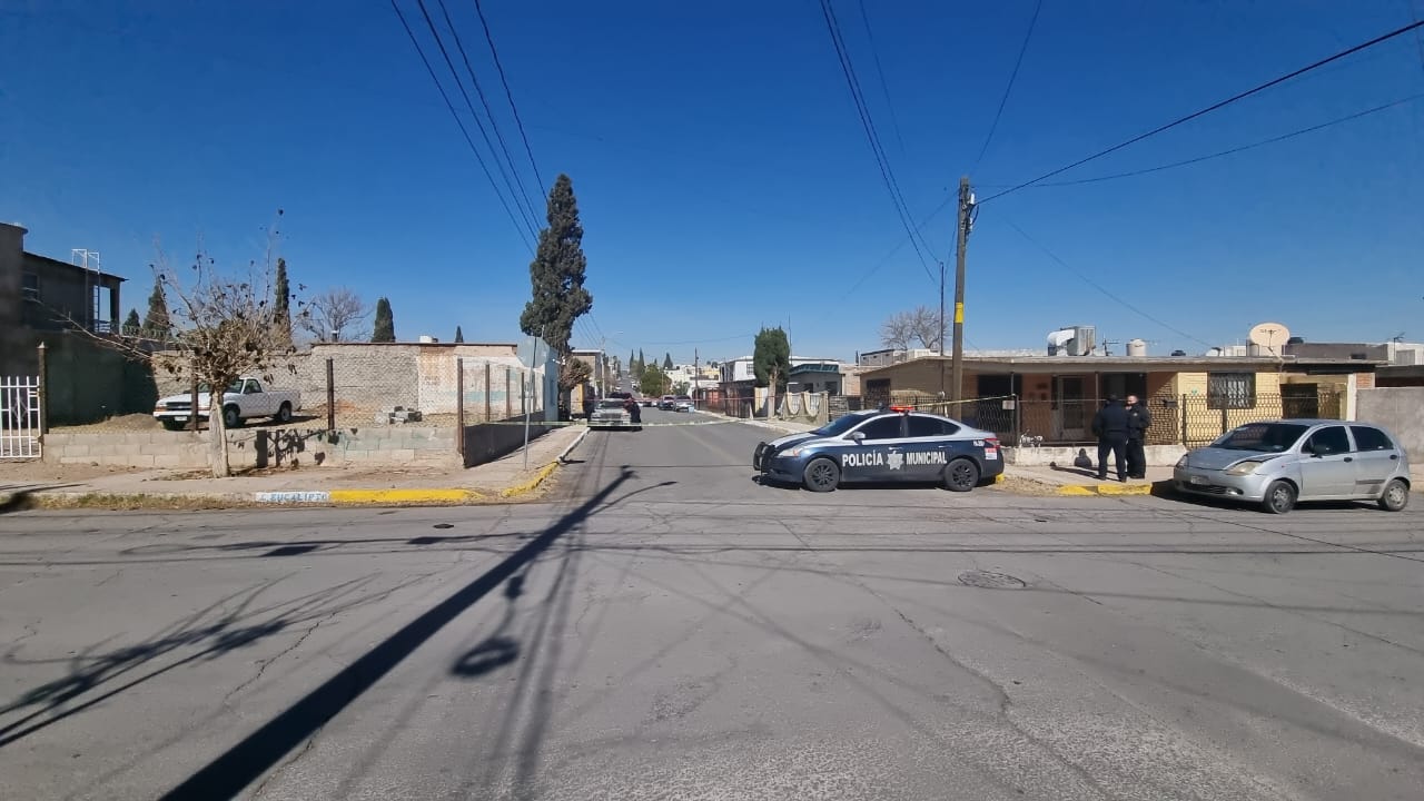 WhatsApp Image 2025-01-13 at 12.54.53 PM