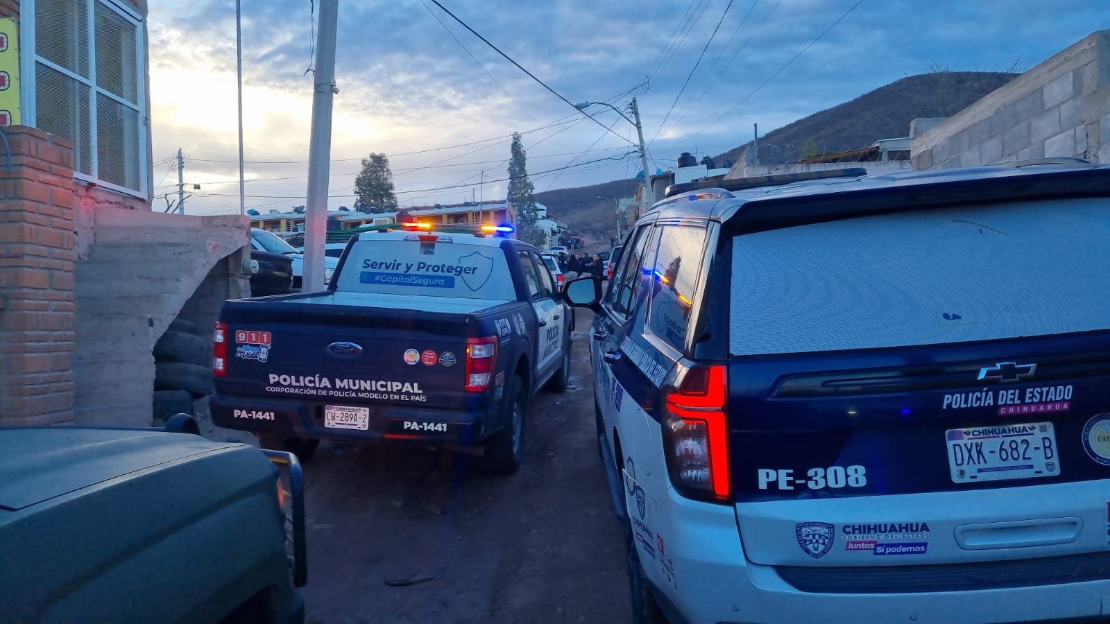 WhatsApp Image 2025-01-16 at 8.57.40 AM