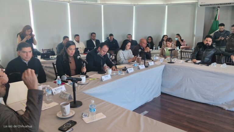 WhatsApp Image 2025-01-21 at 12.52.31 PM