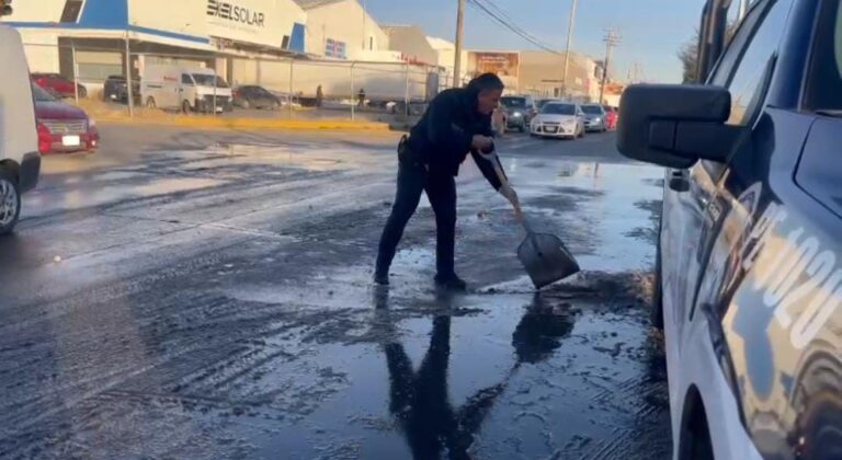 WhatsApp Image 2025-01-22 at 9.44.21 AM