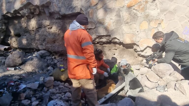 WhatsApp Image 2025-01-24 at 11.16.07 AM