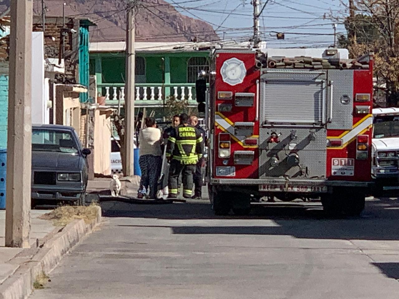 WhatsApp Image 2025-01-24 at 11.50.24 AM